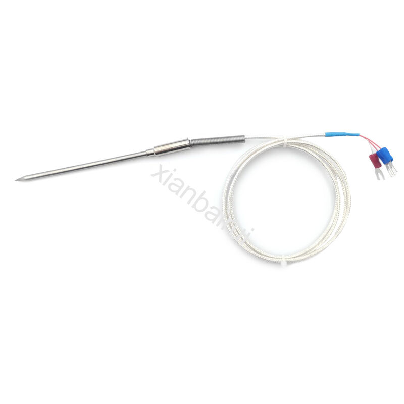 3 Wire Industrial Stainless Steel Probe Temperature Thermocouple Type K  Rtd Sensor Pt100