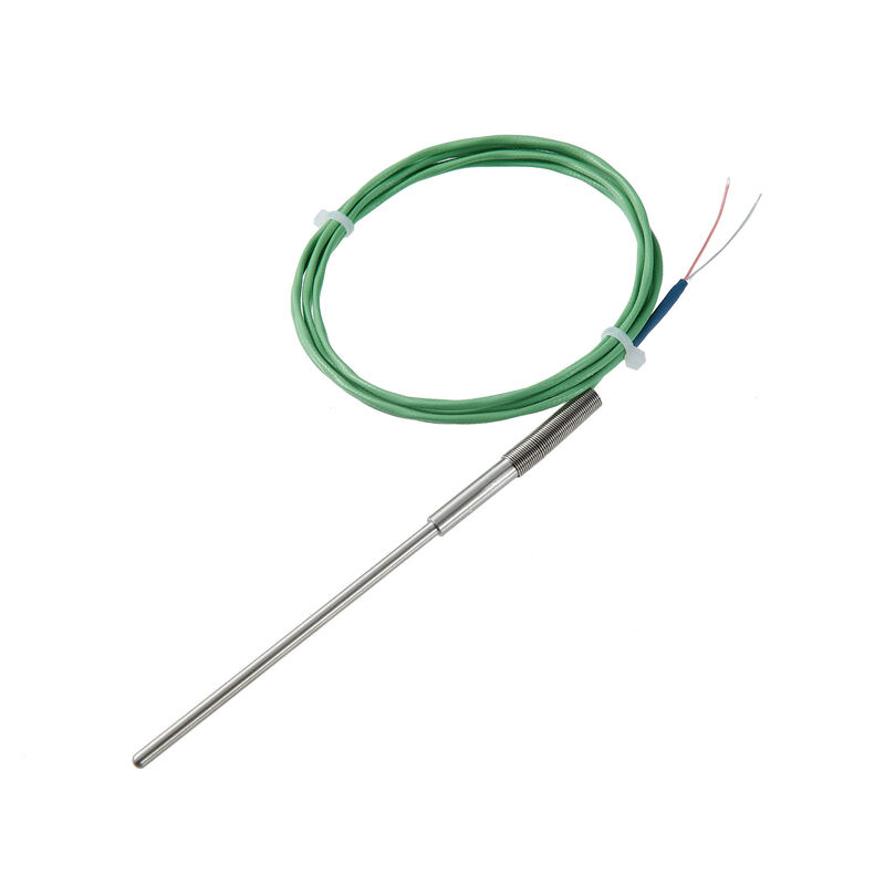 Customized RTD PT100 PT1000 Probe Temperature Sensor with Stainless Steel Sheath and Wide Temperature Range